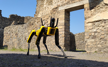 Pies-robot, dzieło amerykańskiej firmy Boston Dynamics, to nie jedyne nowoczesne urządzenie w rękach