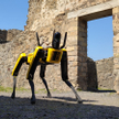 Pies-robot, dzieło amerykańskiej firmy Boston Dynamics, to nie jedyne nowoczesne urządzenie w rękach