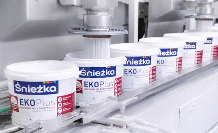 Wyniki Śnieżki pod presją trudnego otoczenia