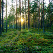 Fińska Karelia