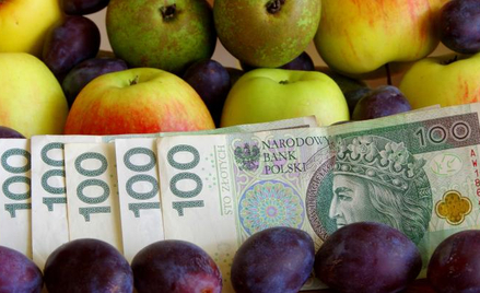 Fajki, cola, serek… Stówy nie ma. Witamy w bajce PiS
