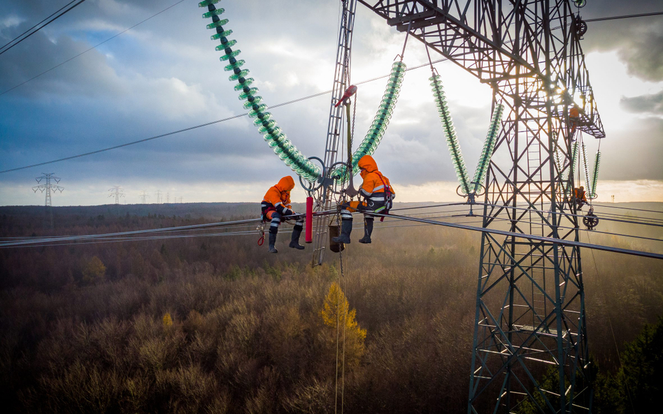 Elastyczność staje się w energetyce krytyczną potrzebą