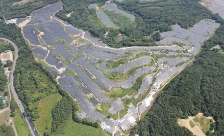 Portugalski gigant inwestuje w OZE w Japonii. Skorzysta amerykański koncern