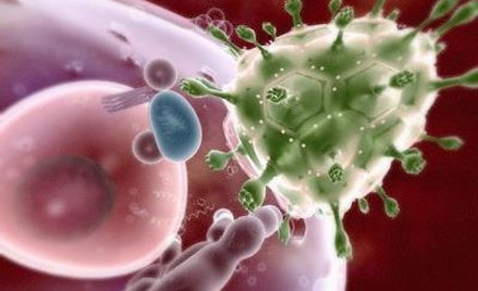 Wirus HIV