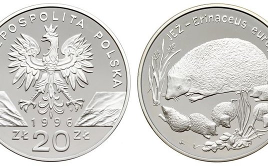 "monety kolekcjonerskie nbp"