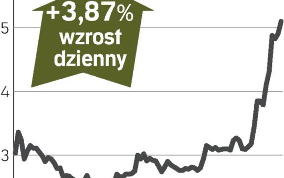 optimus – spółka, o której się mówi w warszawie