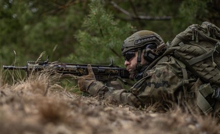 Polskie Siły Zbrojne liczą 215,9 tys. osób, ale raport nie wskazuje ilu jest rezerwistów, którzy mog