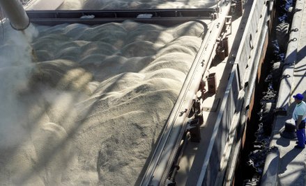 Silosy na ukraińskie zboże mogą powstać w Polsce za cztery miesiące