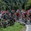 Tour de Pologne: Mads Pedersen wygrał etap i został liderem