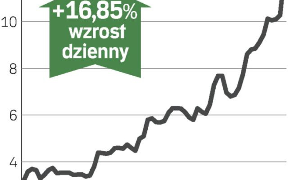 Prognoza zysków wywindowała kurs