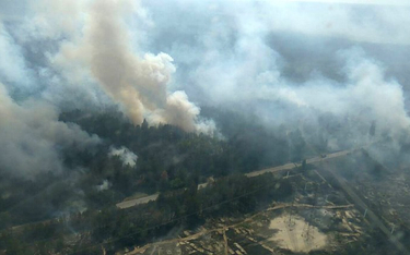 Pożar w Czarnobylu. Płonie 10 hektarów lasu