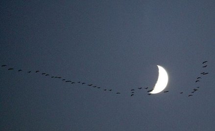 Cel - Księżyc. Europa szykuje się do budowy stacji