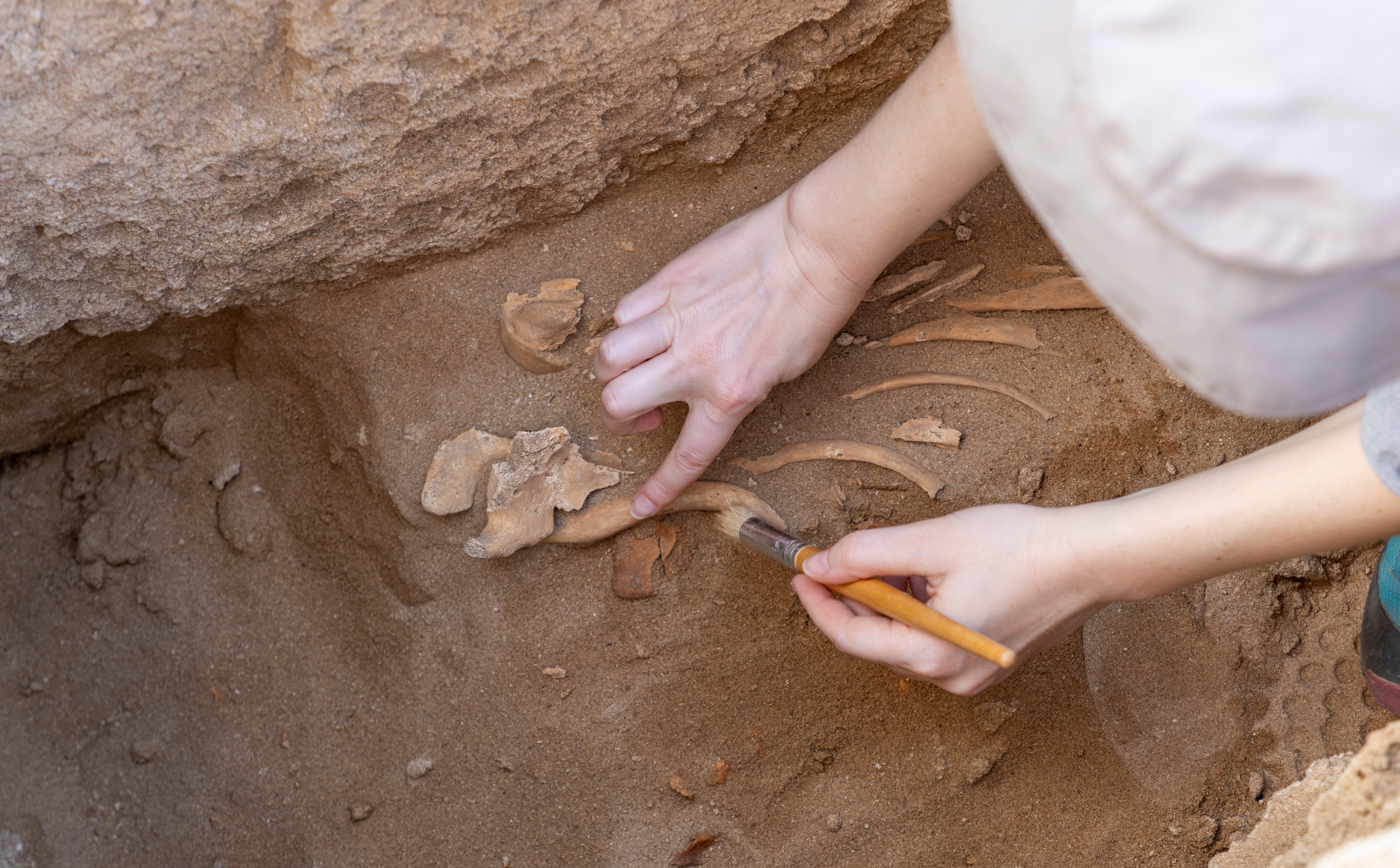Przełomowe odkrycie naukowców. Zmienia nasz obraz neandertalczyków