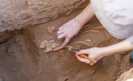 Nowe badania dowodzą, że neandertalczycy wytapiali tłuszcz z rozbitych kości zwierząt / zdjęcie ilus