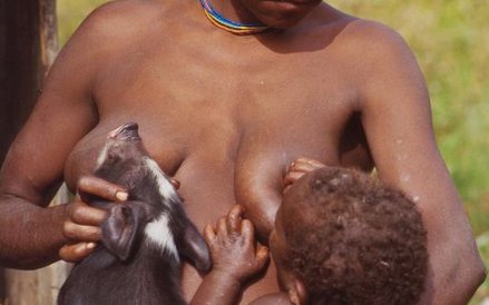 Z Nową Gwineą związane jest życie wybitnego polskiego etnografa Stanisława Kubarego