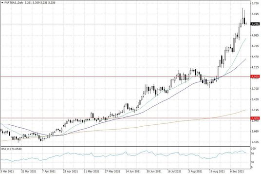 Notowania gazu ziemnego w USA – dane dzienne