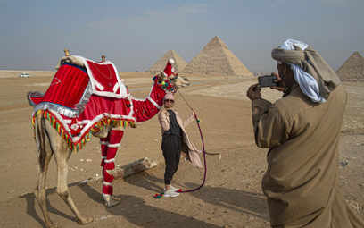 Właściciele wielbłądów oferujący turystom przejadżki pod piramidami dostosowali się w grudniu do świ