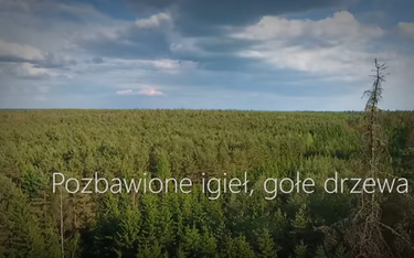 Spot na kanale Lasów Państwowych na YouTube: Milion martwych drzew w Puszczy Białowieskiej