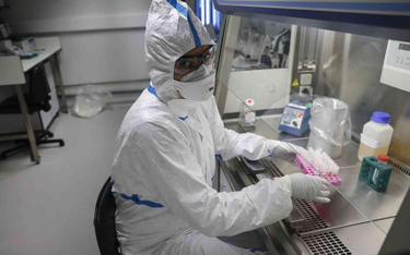 Laboratorium w Australii zdołało wyhodować wirusa 2019-nCoV