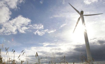OZE: Niemcy pobiły rekord zielonej energii
