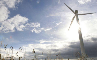 OZE: Niemcy pobiły rekord zielonej energii