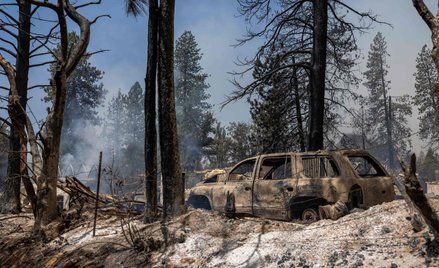 Kalifornię dotknęły ostatnio susze i pożary. Na zdjęciu park narodowy Yosemite