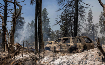 Kalifornię dotknęły ostatnio susze i pożary. Na zdjęciu park narodowy Yosemite