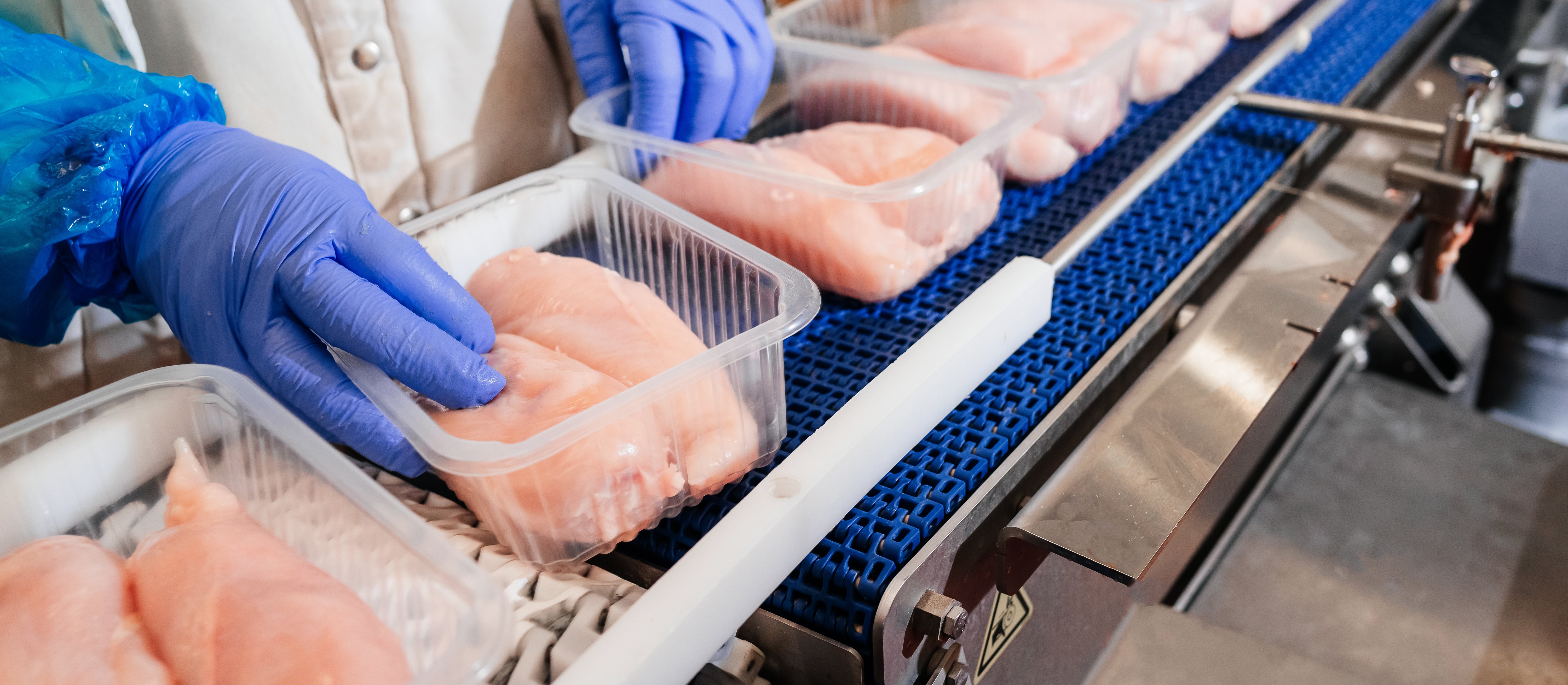 Polski drób u chińskich bram. Wieprzowina ma kłopot