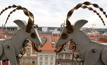 Poznań: Kandydat PiS na prezydenta zapowiada program "Niedziela Plus"