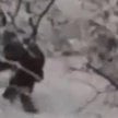 Kadr z filmu wyłożonego an Youtubie - z lewej widoczne coś, co zostało uznane za yeti
