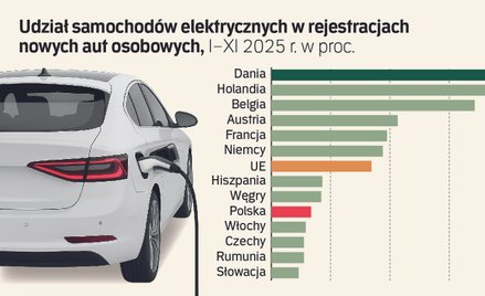 Polska z najwyższym wzrostem sprzedaży aut na prąd