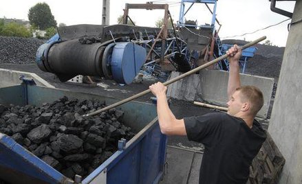 Zwolnienia w akcyzie nie dla każdego węgla i koksu