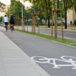 Polacy coraz częściej wybierają aktywną mobilność