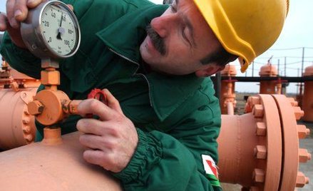 Struktura źródeł pozyskiwania gazu ziemnego przez Polskie Górnictwo Naftowe i Gazownictwo, a w konse