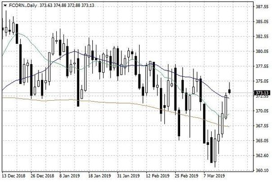 Notowania kukurydzy w USA – dane dzienne