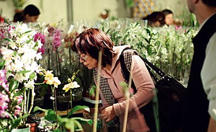 Orchidee zadziwiały różnorodnością gatunków