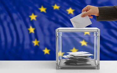 Kalendarz i słowniczek wyborczy – wybory do Parlamentu UE