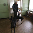 Nieuprawnieni kontrolerzy w domu dziecka
