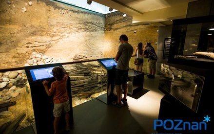 Muzeum Archeologii w Poznaniu znajduje się przy ulicy Wodnej. Posiada cenne zbiory archeologiczne z 