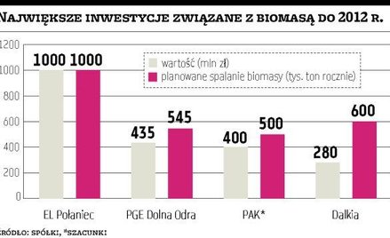 Szturm energetyków na polskie lasy