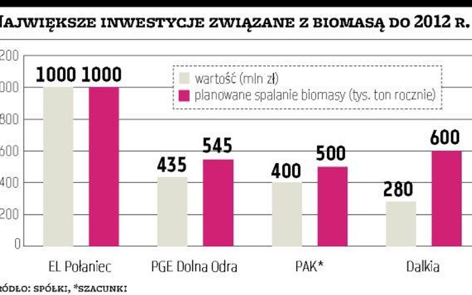 Szturm energetyków na polskie lasy