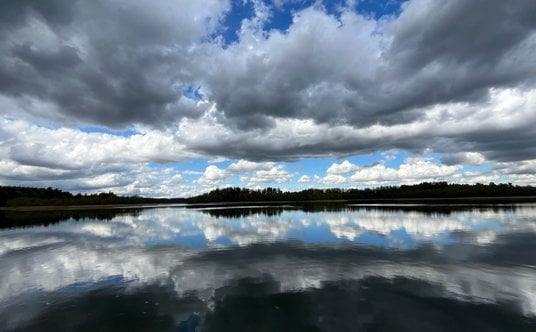 Renault Trafic Wavecamper