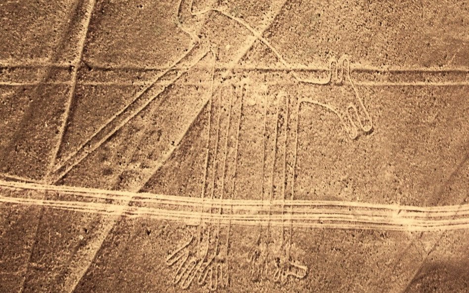Rysunki z Nazca zostały wpisane w 1964 roku na listę światowego dziedzictwa UNESCO