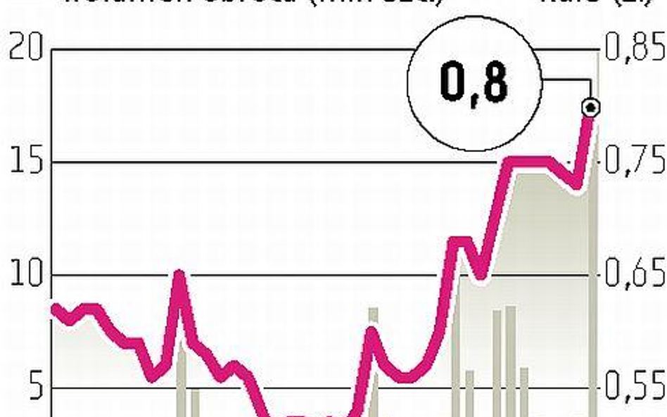 Chemoservis-Dwory: Ostra zwyżka notowań