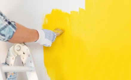 Śnieżka i Decora trzymają się mocno