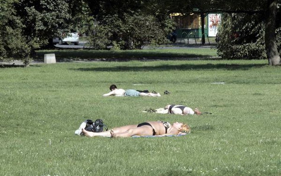 Gmina pozwoli wyjść na trawkę