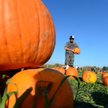 USA: Halloween za 7 miliardów