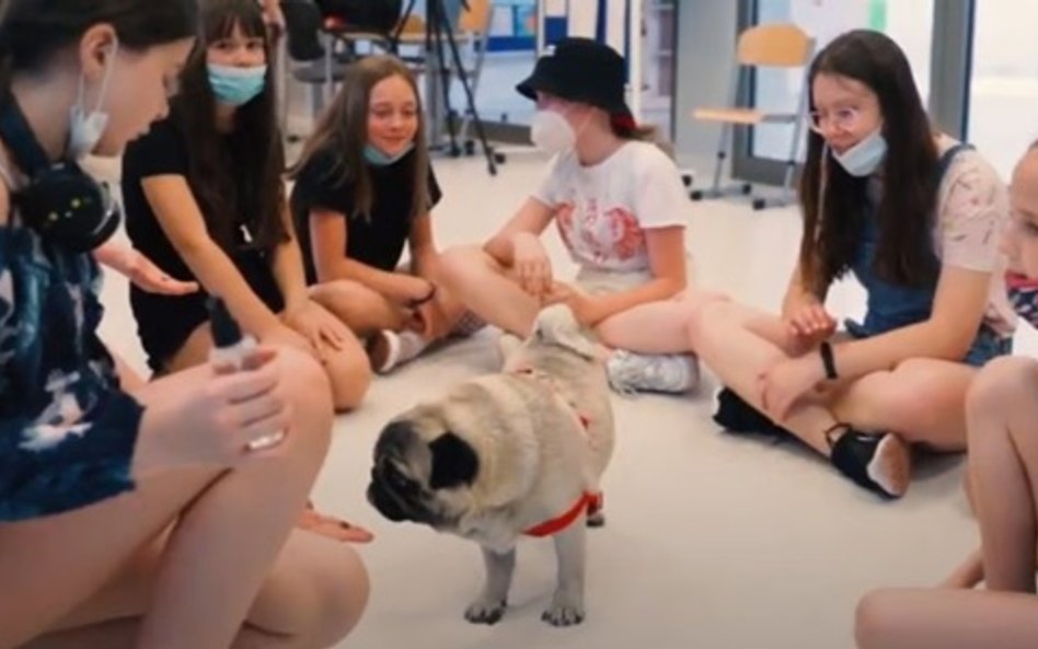 W jednej z wrocławskich szkół pies stanowił wsparcie uczniów w adaptacji po trudnym okresie nauki zd