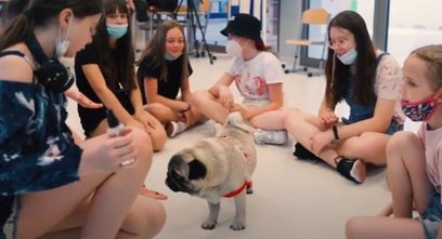 W jednej z wrocławskich szkół pies stanowił wsparcie uczniów w adaptacji po trudnym okresie nauki zd