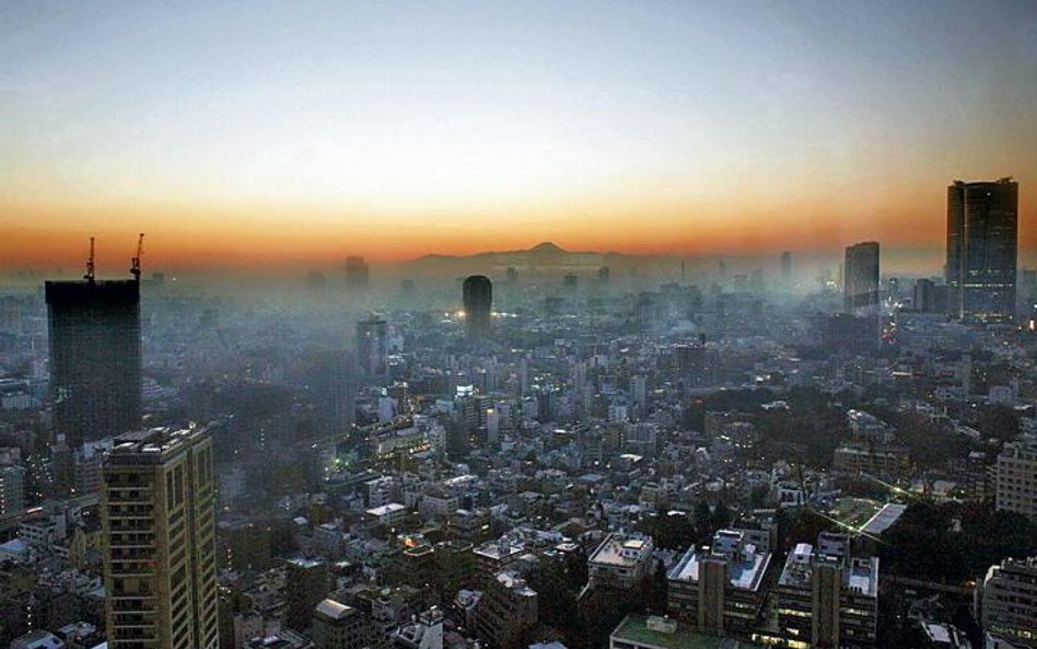 Piękna panorama ze smogiem w tle. Widok z liczącej 333 metry Tokyo Tower